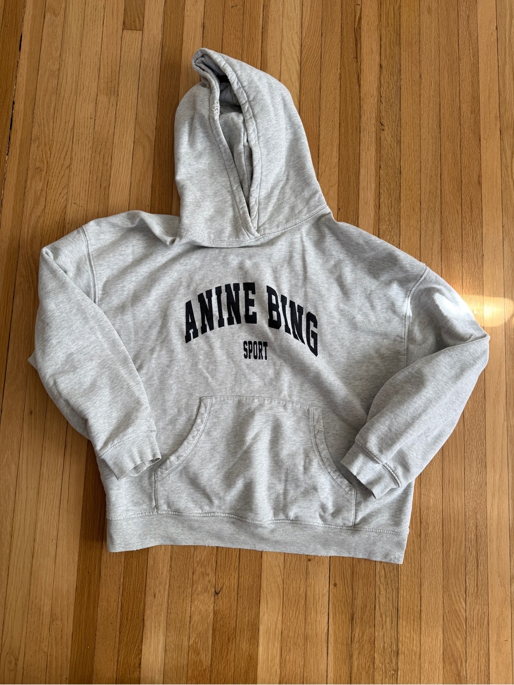 Harvey sweatshirt Anine Bing